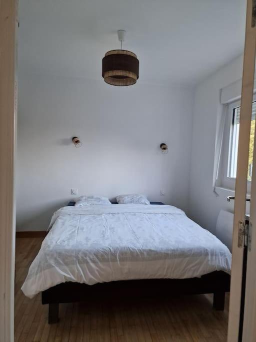 Appartement Ness'House à Trégueux Extérieur photo